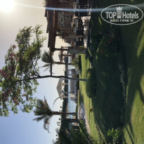 фото из отзыва ID 2183915