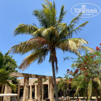 фото из отзыва ID 2183921