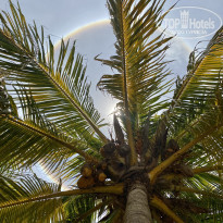 фото из отзыва ID 2183921