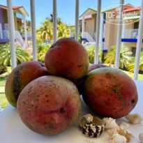 фото из отзыва ID 2183921