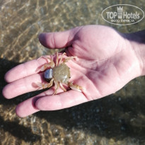 фото из отзыва ID 2183932