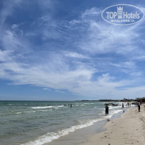 фото из отзыва ID 2184081