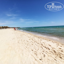 фото из отзыва ID 2184117