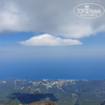 фото из отзыва ID 2184147