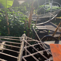 фото из отзыва ID 2184151