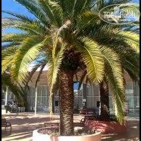 фото из отзыва ID 2184152