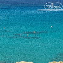 фото из отзыва ID 2184004