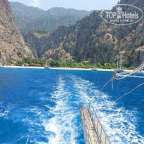 фото из отзыва ID 2184204