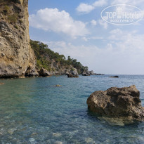 фото из отзыва ID 2184204