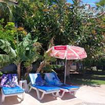 фото из отзыва ID 2184204