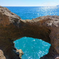 фото из отзыва ID 2184204