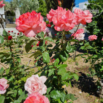 фото из отзыва ID 2184396