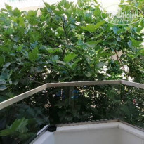 фото из отзыва ID 2183858