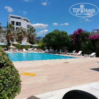 фото из отзыва ID 2183858