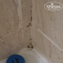 фото из отзыва ID 2184506