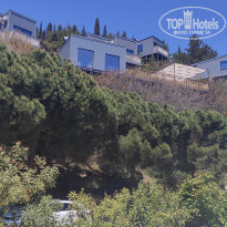 фото из отзыва ID 2184517