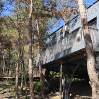 фото из отзыва ID 2184517