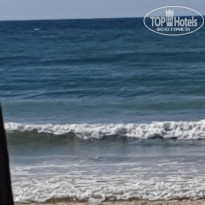 фото из отзыва ID 2184528