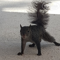 фото из отзыва ID 2184528