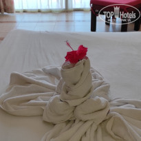 фото из отзыва ID 2184604