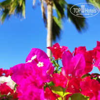 фото из отзыва ID 2184604