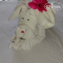 фото из отзыва ID 2184604