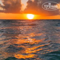 фото из отзыва ID 2184604