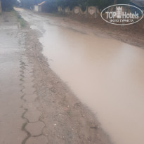 фото из отзыва ID 2184625