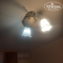 фото из отзыва ID 2184625