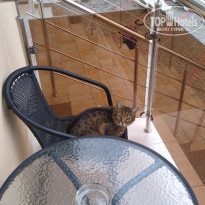 фото из отзыва ID 2184628