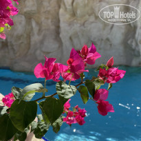 фото из отзыва ID 2184655