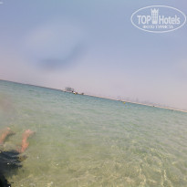 фото из отзыва ID 2184662