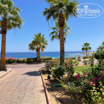 фото из отзыва ID 2184655