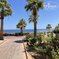 фото из отзыва ID 2184655