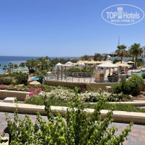 фото из отзыва ID 2184655