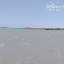 фото из отзыва ID 2184476