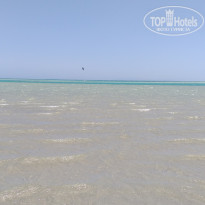 фото из отзыва ID 2184476