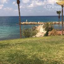 фото из отзыва ID 2184774