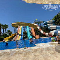 фото из отзыва ID 2184888