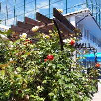 фото из отзыва ID 2184968