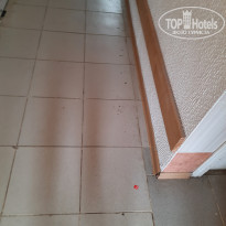 фото из отзыва ID 2185091