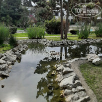 фото из отзыва ID 2185108