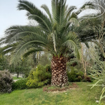 фото из отзыва ID 2185108