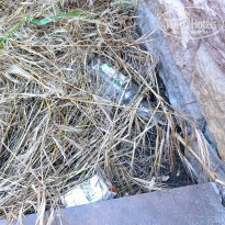 фото из отзыва ID 2185153