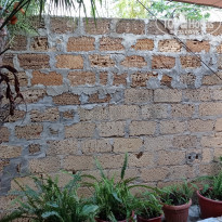 фото из отзыва ID 2185153