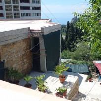 фото из отзыва ID 2185153