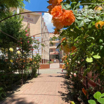 фото из отзыва ID 2185152