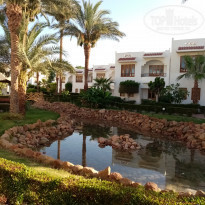 фото из отзыва ID 2185254