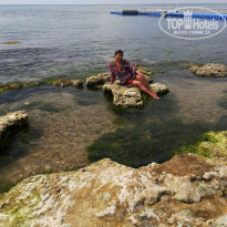 фото из отзыва ID 2180418