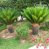 фото из отзыва ID 2180418